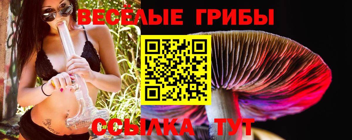 Дмитров  Псилоцибиновые грибы ЛСД  где купить   Вход с VPN 