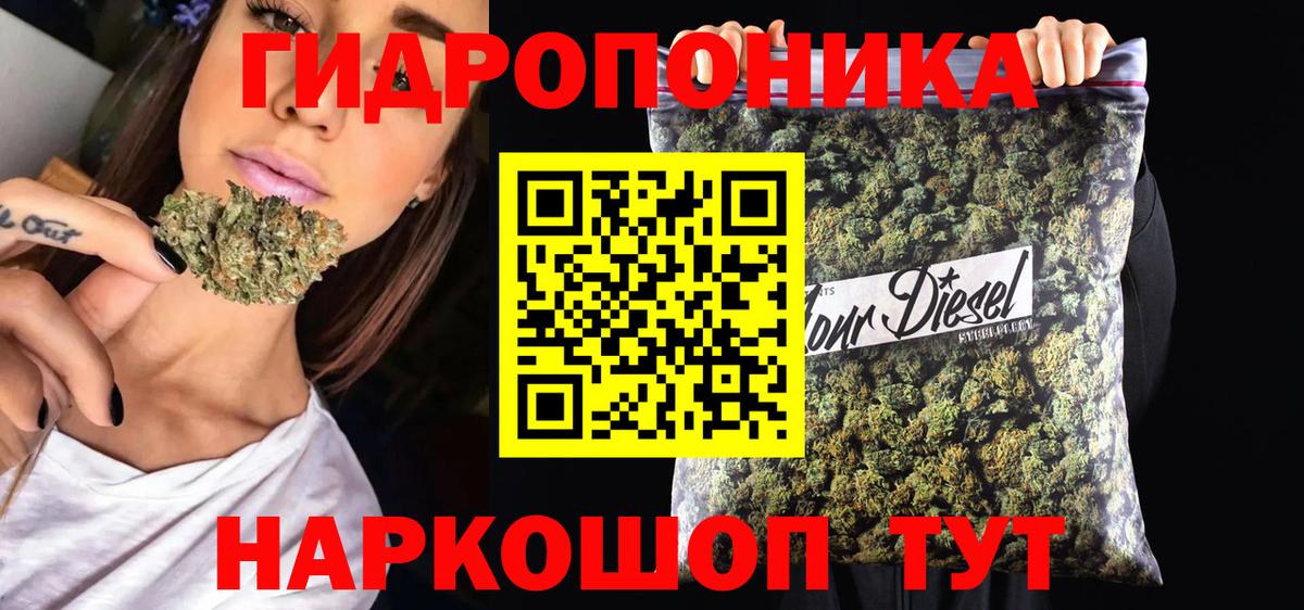Каннабис сатива Дмитров